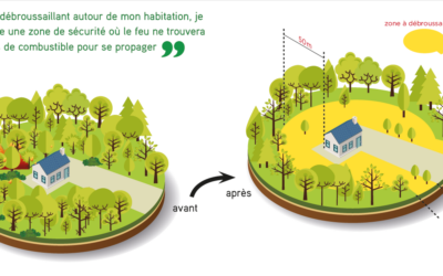 Guide du débroussaillement obligatoire